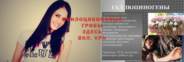 эйфоретик Семилуки