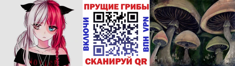 сколько стоит  Кочубеевское  Галлюциногенные грибы прущие грибы 